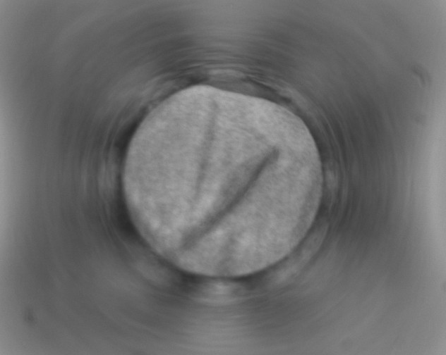 X0000113630379200910162021