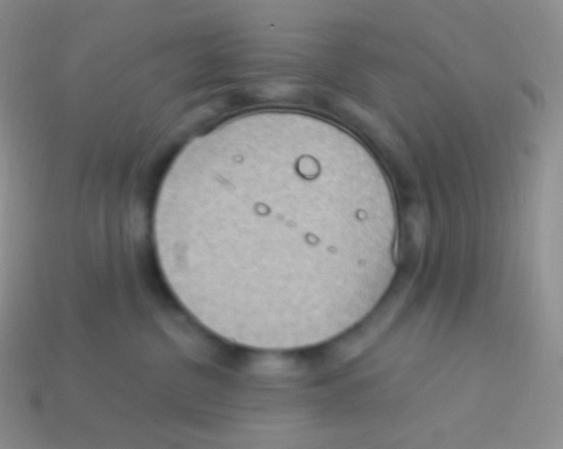 X0000113630380200910162021