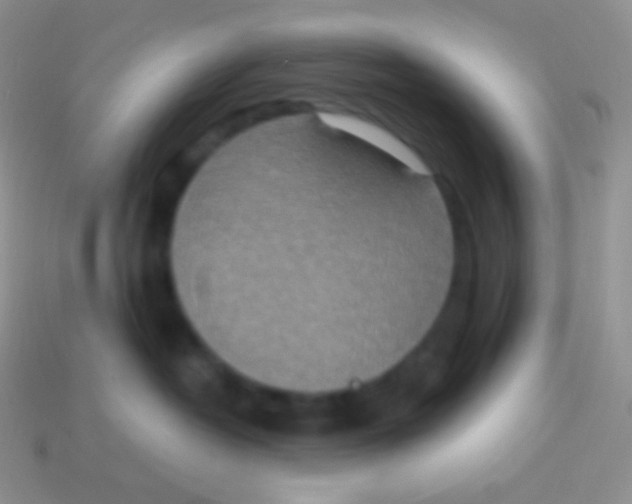 X0000113630382200910162021