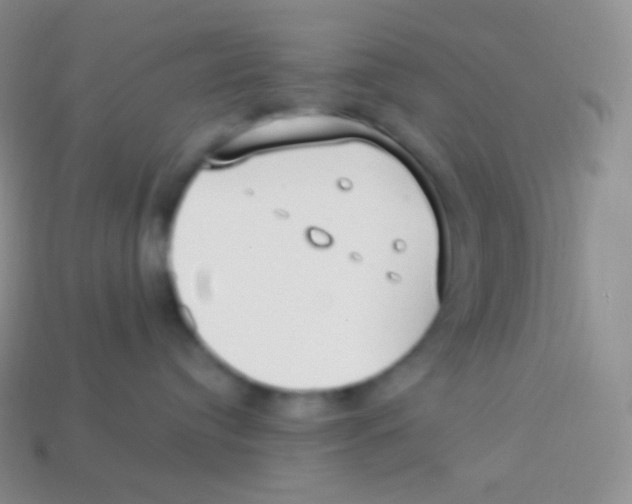 X0000113630384200910162021