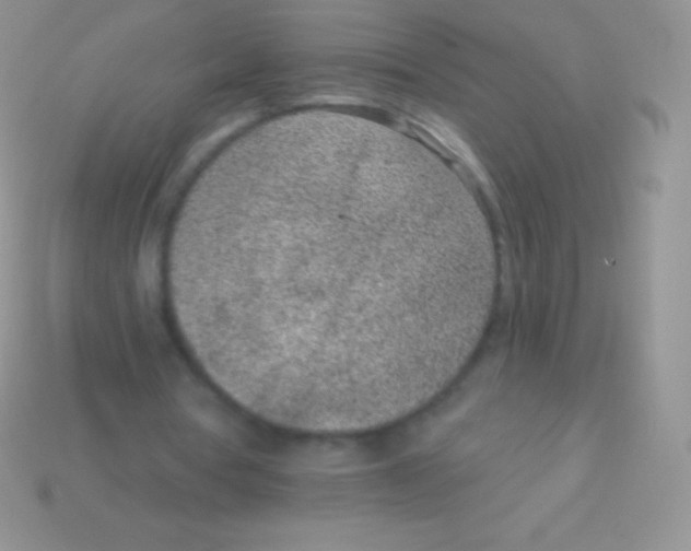 X0000113630386200910162020