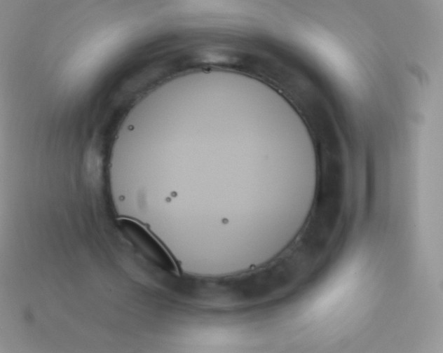 X0000113630387200910162020