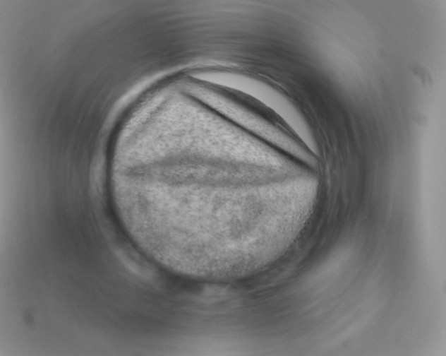 X0000113630388200910162020