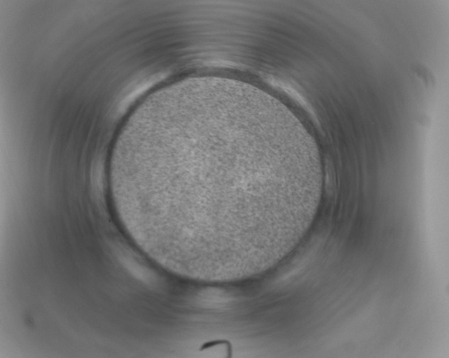 X0000113630390200910162020