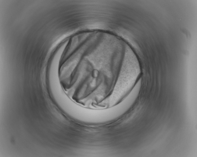 X0000113630391200910162020