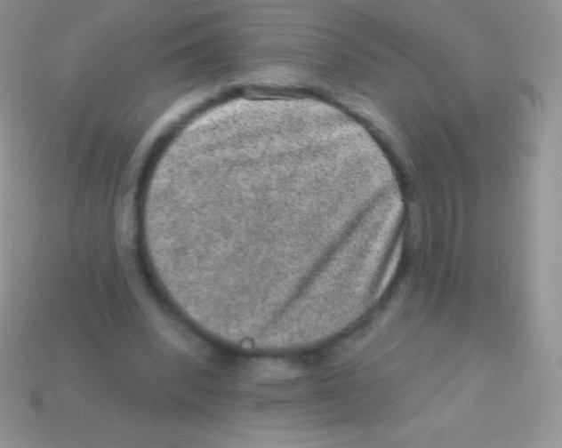 X0000113630392200910162020