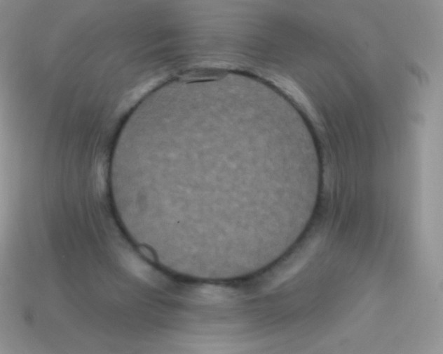 X0000113630393200910162020