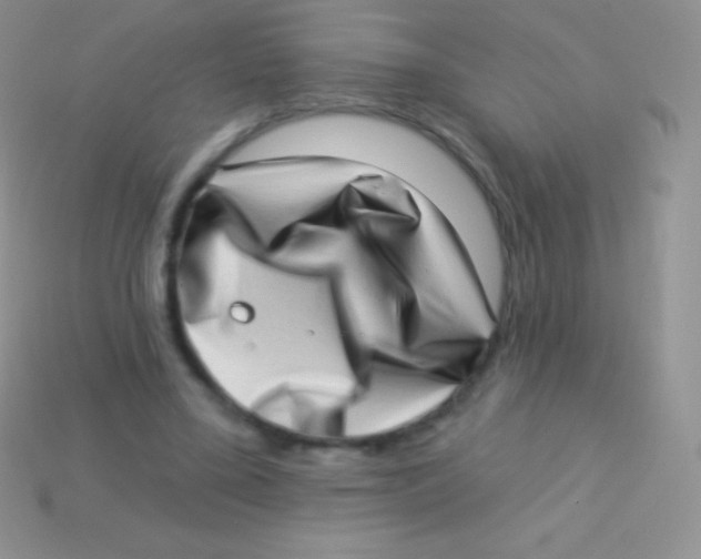 X0000113630395200910162020