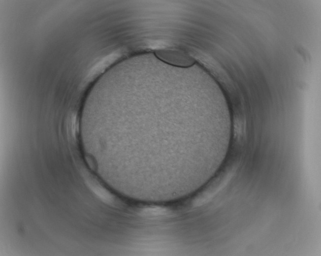 X0000113630397200910162020