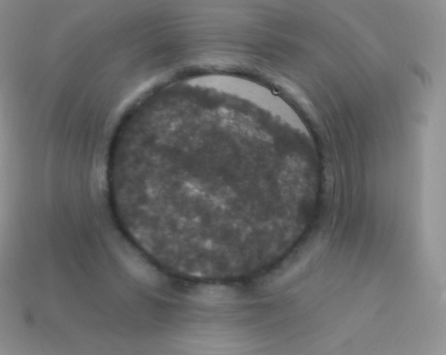 X0000113630399200910162020