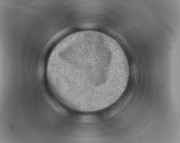 X0000113630400200910162020