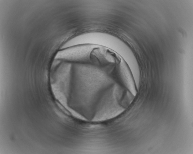 X0000113630401200910162020