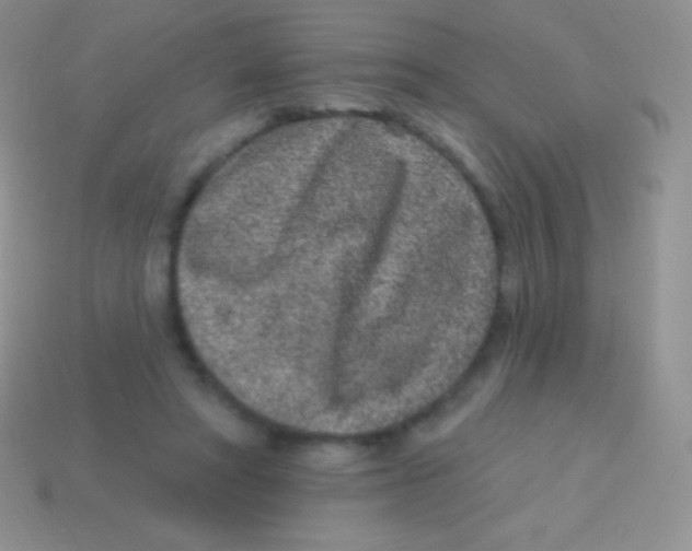 X0000113630402200910162020