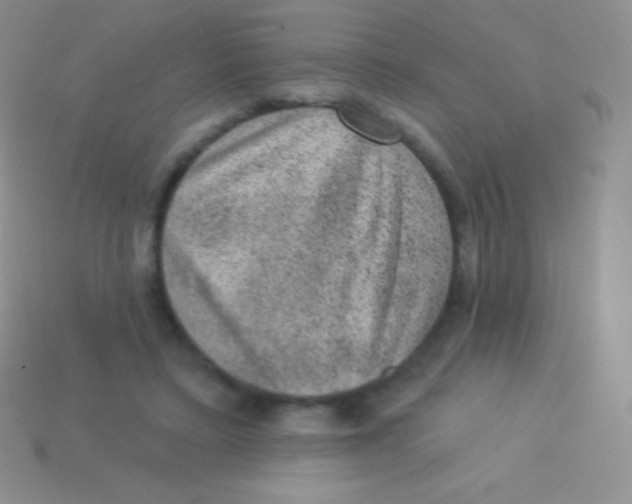 X0000113630403200910162020