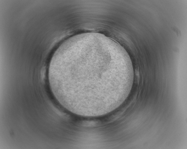 X0000113630404200910162020