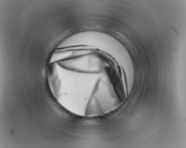 X0000113630405200910162020