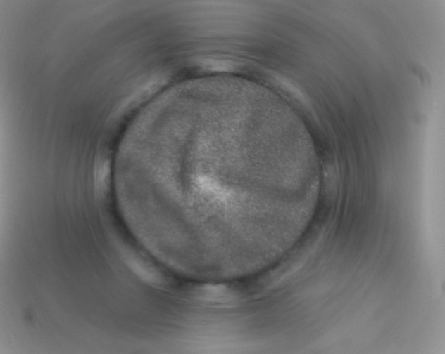 X0000113630406200910162020