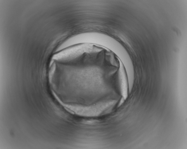 X0000113630407200910162020