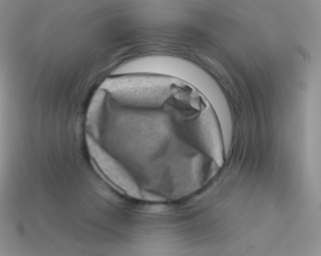 X0000113630409200910162020