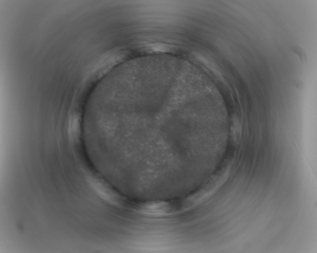 X0000113630410200910162020