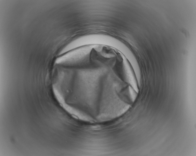 X0000113630411200910162020