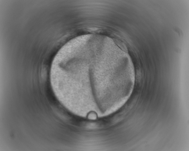 X0000113630412200910162020