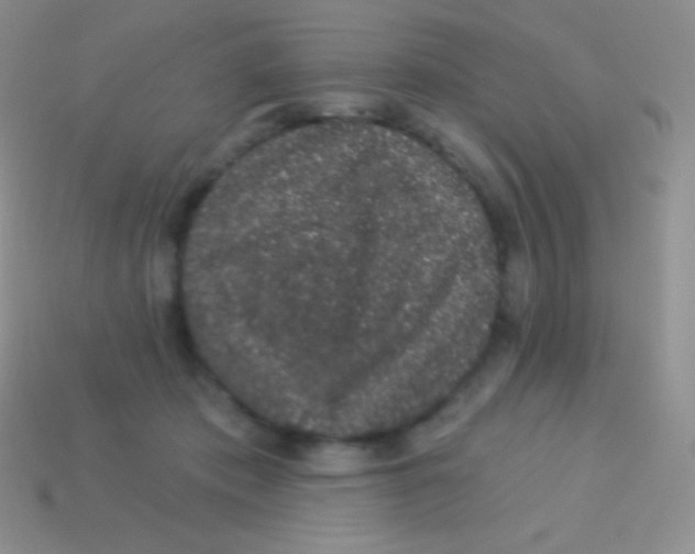 X0000113630413200910162020