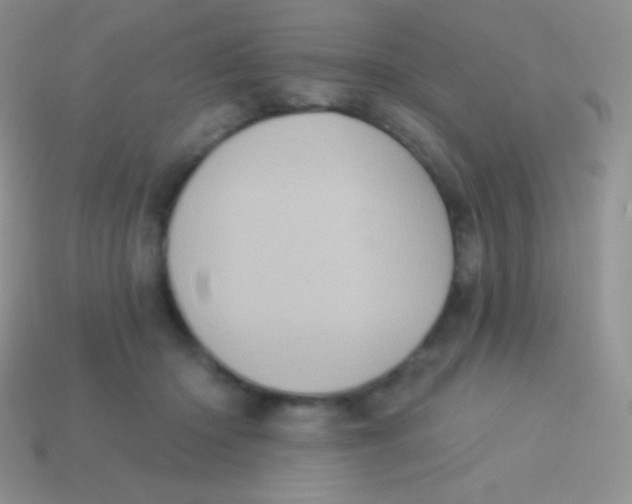 X0000113630414200910162020