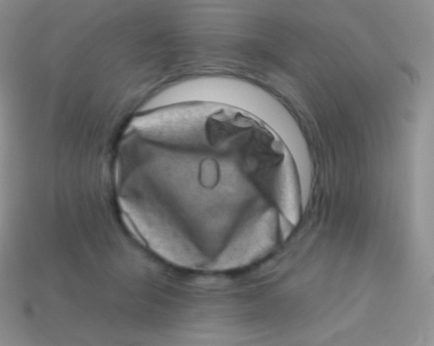 X0000113630415200910162020