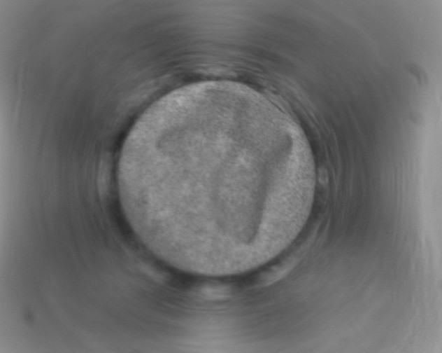 X0000113630416200910162020