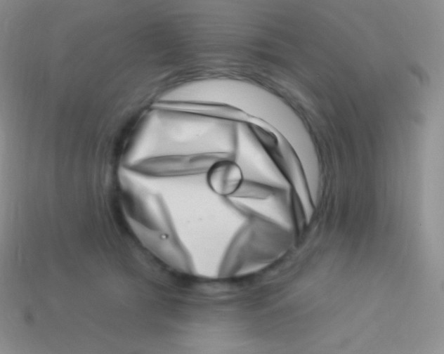 X0000113630417200910162020