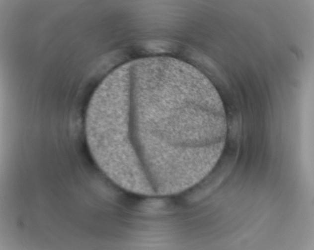 X0000113630418200910162020