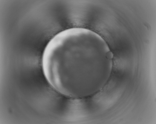 X0000113630419200910162020