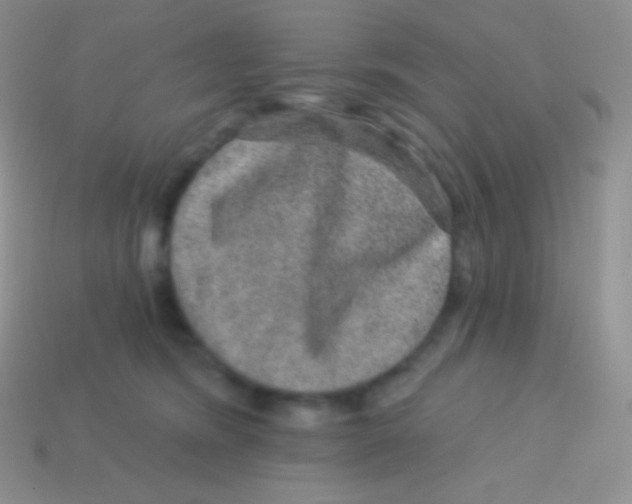 X0000113630420200910162020