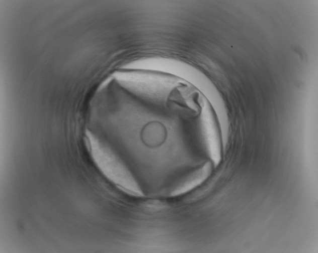 X0000113630421200910162020