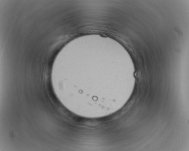 X0000113630423200910162020