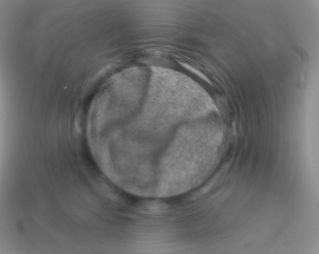 X0000113630424200910162020