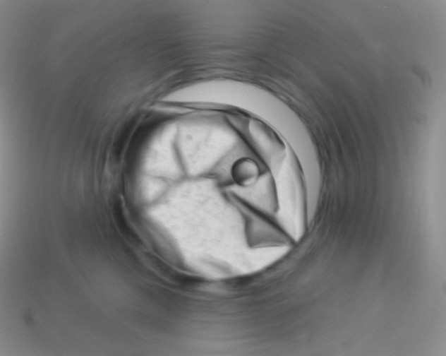 X0000113630425200910162020