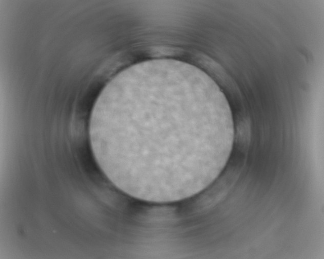 X0000113630426200910162020