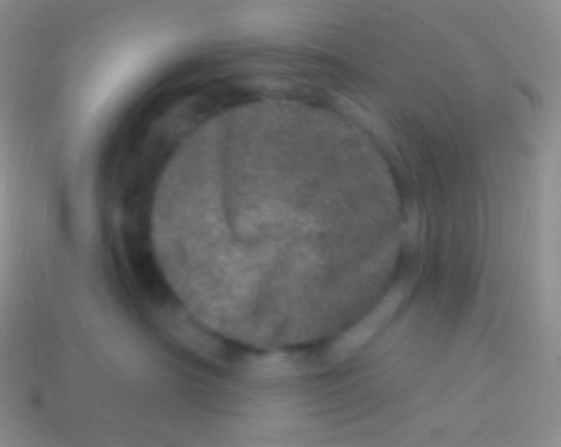 X0000113630430200910162020