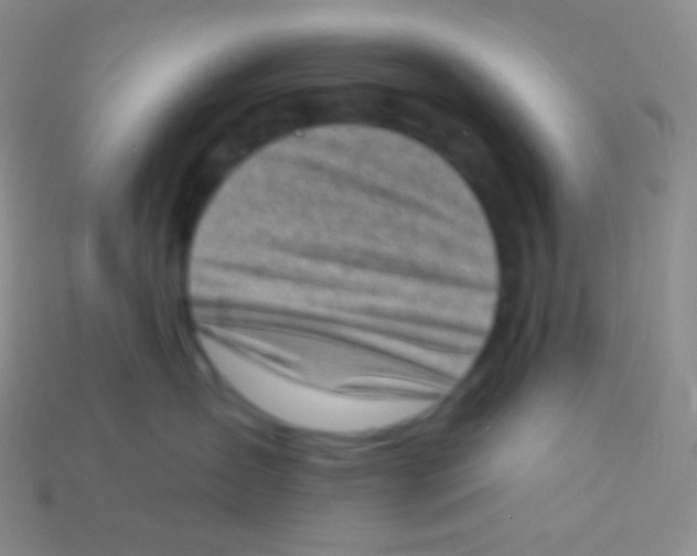 X0000113630431200910162020