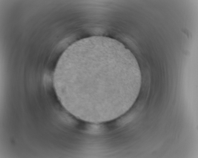 X0000113630432200910162020