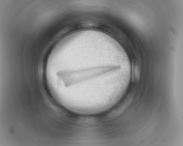 X0000113630435200910162019