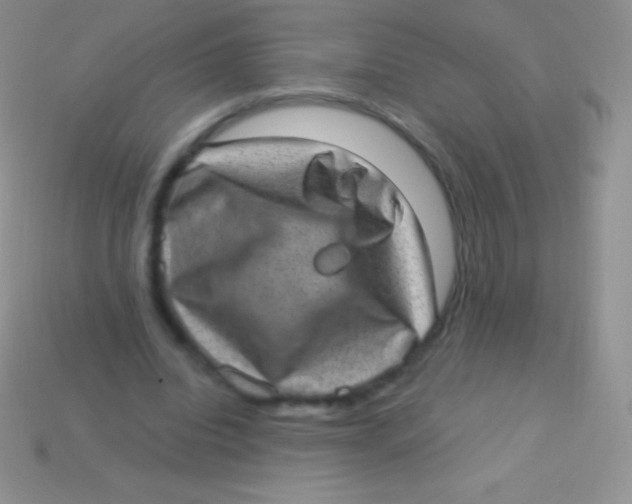 X0000113630440200910162019