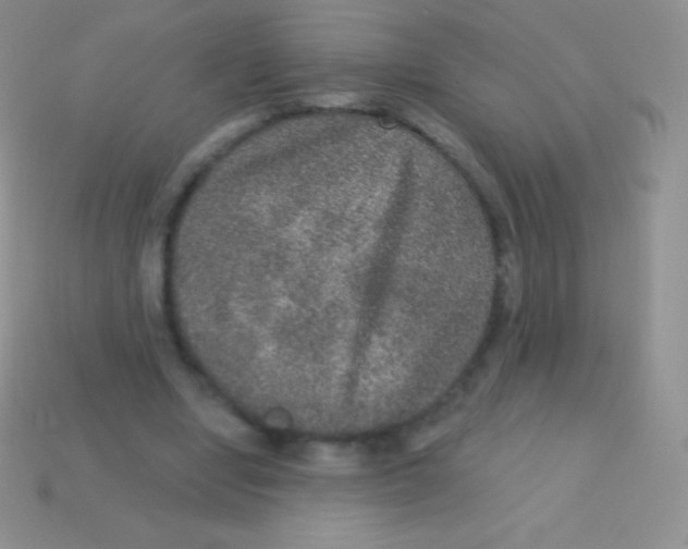 X0000113630442200910162019