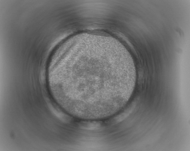 X0000113630443200910162019