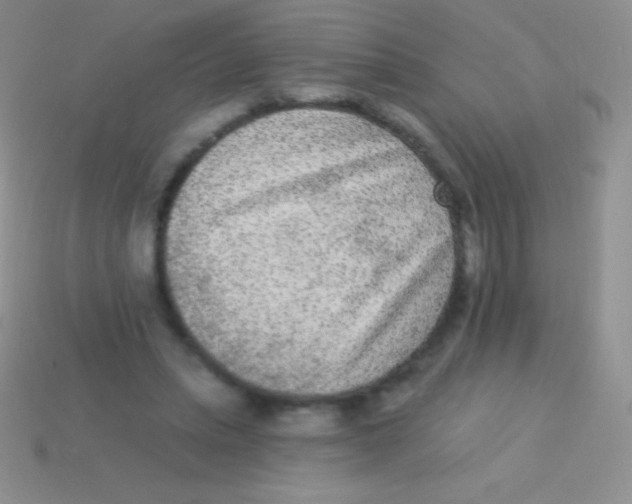 X0000113630447200910162019