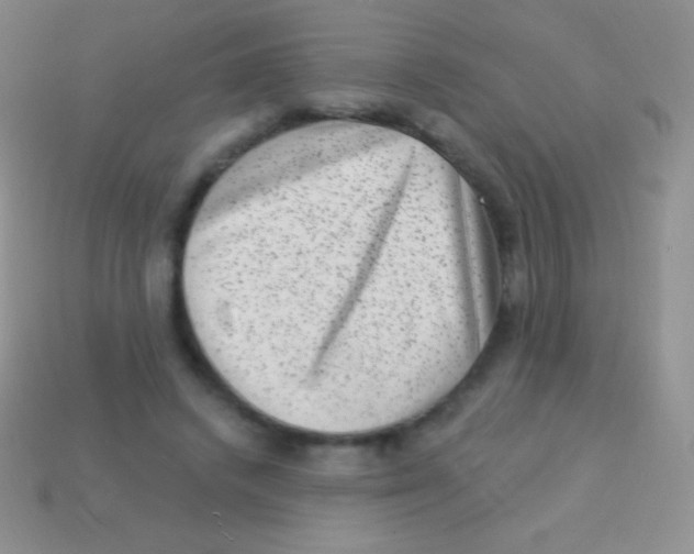 X0000113630448200910162019