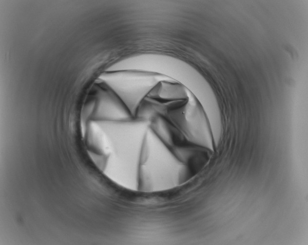 X0000113630452200910162019