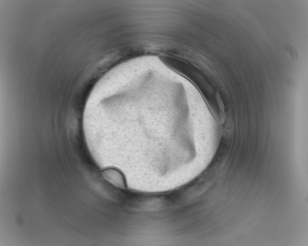 X0000113630456200910162019